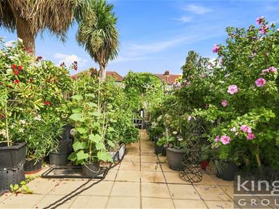 Picture 20